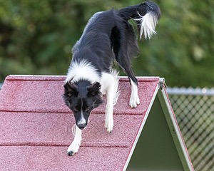 20200819-3004.jpg