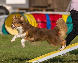 20220917-PVKC-1153.jpg