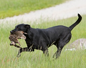 20080531-HRL-0310.jpg