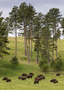 20200619-2551.jpg