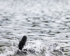 Windy Nottingham