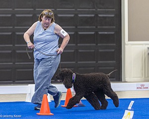 R15 - GCH CH LANDACRE'S NORDIC SAILOR DN CGC TKI
