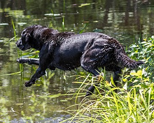 20170716-WCXW-1193.jpg