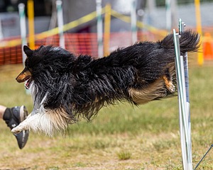 20180617-1388.jpg