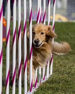 20230916-PVKC-1321.jpg