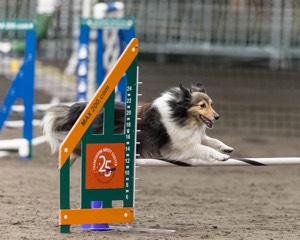 Aurora Capella
