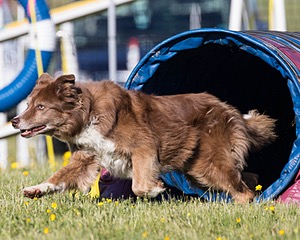 20160514-NEAT-0128.jpg