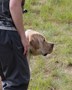 20080601-SRL-0145.jpg