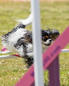 20180616-1282.jpg