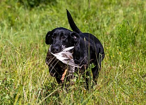 20160717-WCL-0363-2.jpg