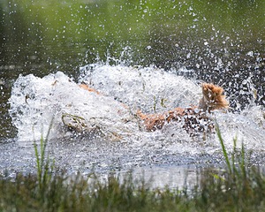 20130714-MHB2-0059.jpg