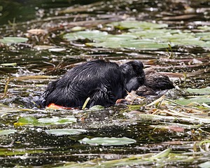 20130810-JHW-0321.jpg