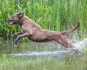 20130713-MHB2-0140.jpg