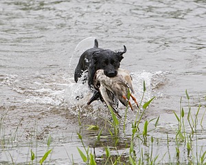 20080531-HRW-0531.jpg