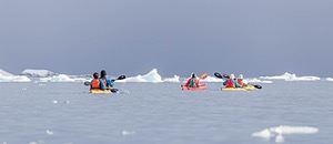 20260322-0106.jpg
