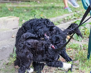20170819-C-0016.jpg