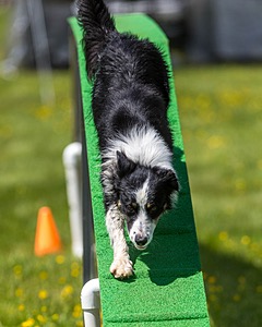 Jaxx Erskine