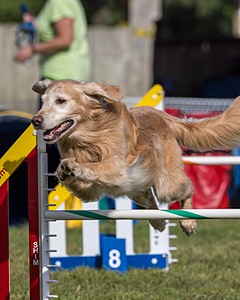 20230916-PVKC-1371.jpg