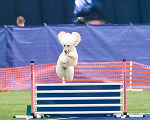 20150322-LEAP-0481.jpg