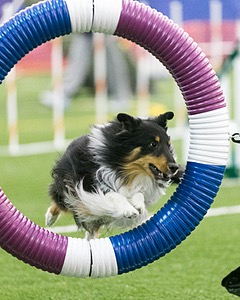 20150322-LEAP-0316.jpg