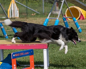 20200819-0856.jpg