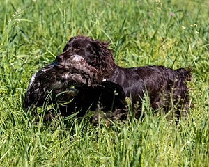 20210606-SEAL-0764.jpg