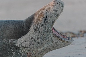 20191213-0425.jpg