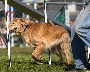 20230917-PVKC-2607.jpg