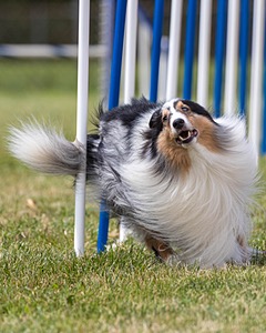 20200819-2155.jpg