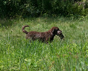 20130810-JHW-0020.jpg