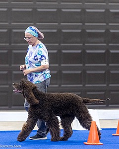 20240521-RA-0441.jpg