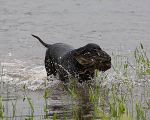 20080531-HRW-0136.jpg