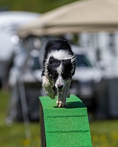 Jaxx Erskine