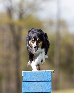 20160514-NEAT-1047.jpg