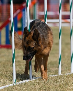 20150614-CCKC-1788.jpg