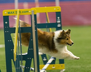 20150321-LEAP-1617.jpg