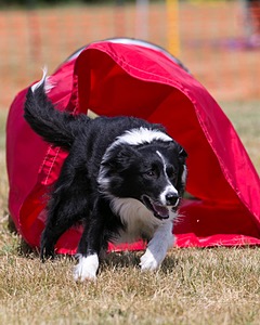 20150613-CCKC-0101.jpg