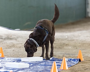 20260718-NSKC-0201.jpg
