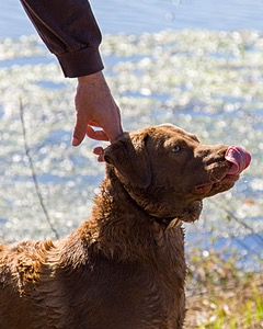 20061014-JHW-257.jpg