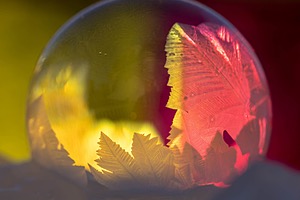 20250303-0008.jpg