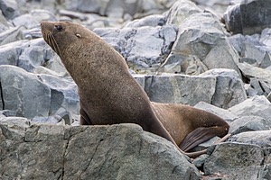 20260319-0116.jpg