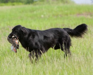 20080531-HRL-0266.jpg