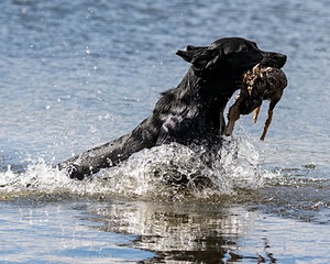 20160924-SHW-0037.jpg