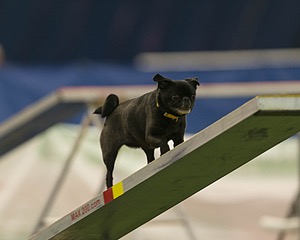 20150321-LEAP-1682.jpg