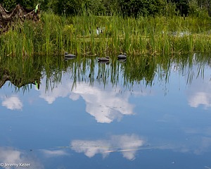 069A8828.jpg