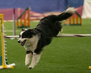 20150321-LEAP-1033.jpg