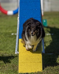 Winnie Klinkowski
