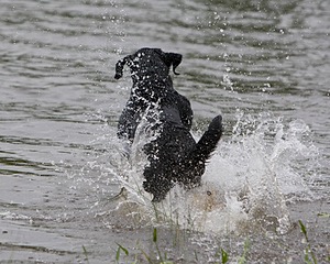 20080531-HRW-1011.jpg