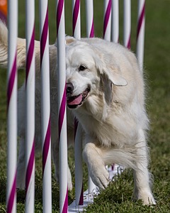 20230916-PVKC-1209.jpg