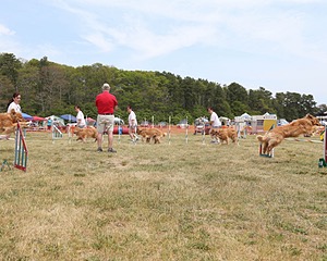20150612-CCKCMC-0028.jpg